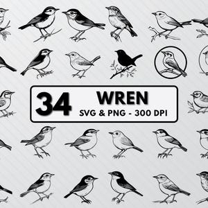 May include: A set of 34 black and white wren bird illustrations. The illustrations are in a variety of poses and are perfect for crafting projects, scrapbooking, or digital design.