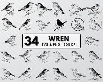 Wren Bird SVG Bundle: Silhouette Clipart, Line Art (PNG)