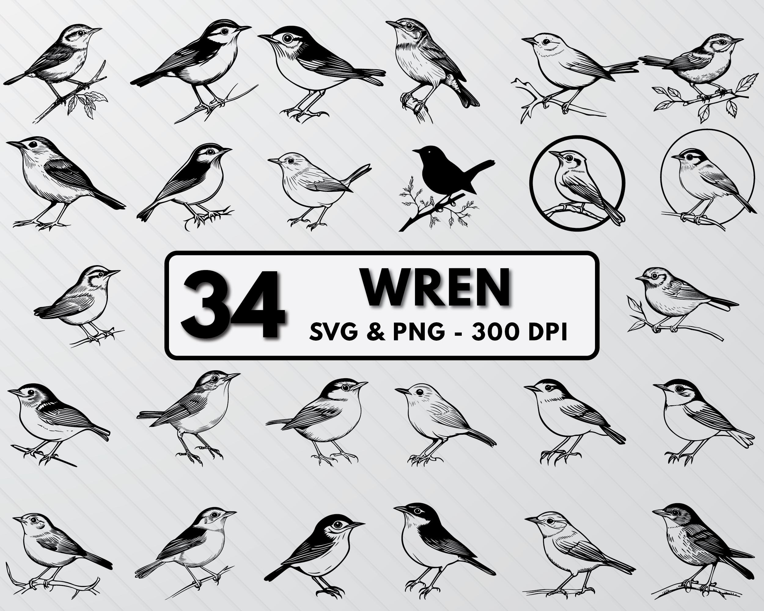 Wren Svg Bundle, Wren Bird Silhouette, Little Bird Line Art Svg Design ...