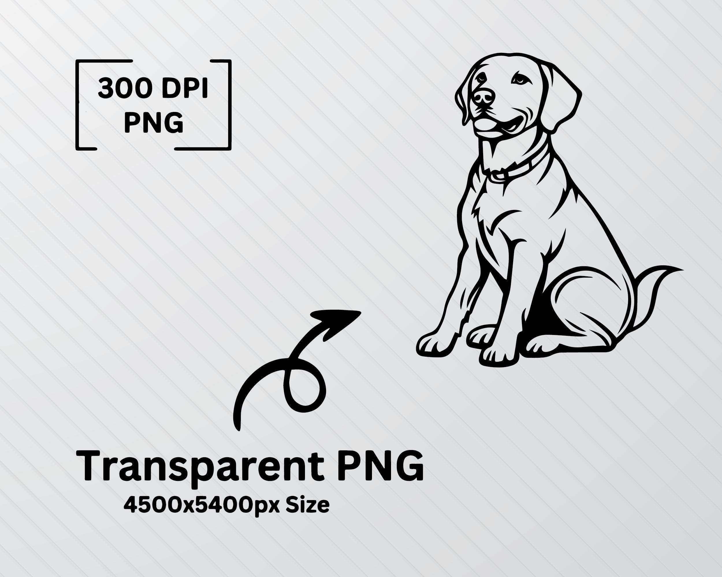 Labrador Retriever Silhouette: Dog SVG Bundle, Puppy Vector Art (PNG ...