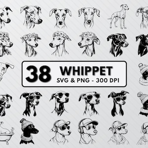 Whippet Svg Bundle, Whippet Dog Silhouette, Whippet Vector Art, Whippet Png Clipart Decal, Cute Dogs Cricut Outline, Fastest Dog Breeds Icon