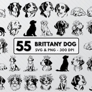 Brittany Spaniel SVG Bundle: Hund Silhouette Clipart (PNG, Vektor)