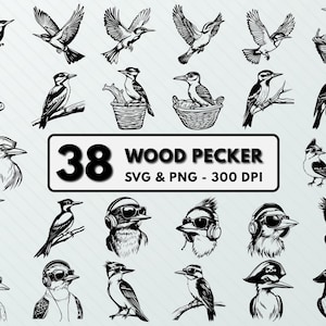 Woodpecker SVG Clipart, Woodpecker Png,  Woodpecker Silhouette, Woodpecker Vector, Woodpecker Decal, Woodpecker Outline, Birds Graphic SVG