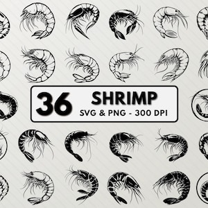 Shrimp SVG Bundle: Fish Silhouette, Line Art Clipart (PNG, SVG)