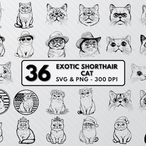 May include: A set of 36 black and white illustrations of exotic shorthair cats in various poses. The illustrations are in a digital format, suitable for use in crafting projects, such as cutting, printing, and embroidery. The text "Exotic Shorthair Cat" and "SVG & PNG - 300 DPI" is included in the image.