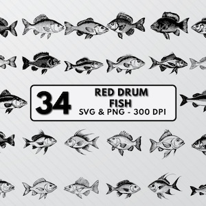 Red Drum Fish Svg Bundle, Red Drum Fish Silhouette, Fish Design Clipart, Channel Bass Svg Png, Spottail Bass Cut Files Cricut, Red Drum Svg