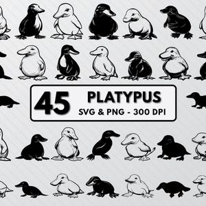 Platypus Svg Cut Files, Platypus Silhouette Png, Platypus Vector Art, Platypus Animal Png Logo Clipart Outline, Platypus Cricut Decal Icons