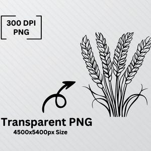 Wheat Silhouette SVG Bundle: Grain Stalk Clipart (PNG Vector) Etsy