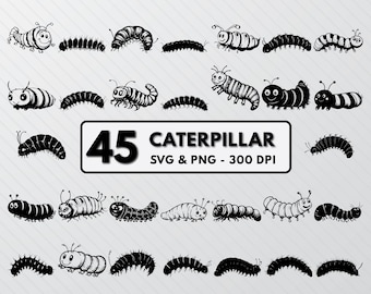 Caterpillar SVG Bundle: Spring Insect Clipart (PNG, Vector)