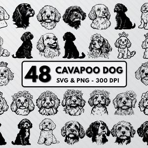 Cavapoo Dog Silhouette: SVG, PNG Clipart Bundle