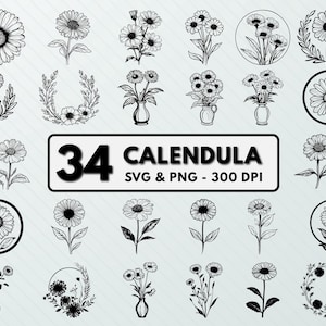 Calendula Flower SVG PNG Bundle: Floral Outline Clipart