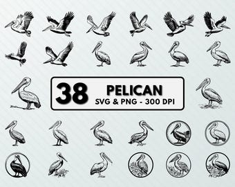 Pelican SVG PNG Bundle: Clipart Silhouette Vector (Digital Files)