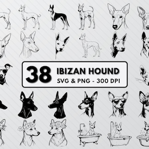 Ibizan Hound Svg Bundle, Ibizan Hound Silhouette, Ibizan Hound Svg Png, Dog Breeds Clipart Icon, Floral Puppies SVG Cut File, Dog Svg Cricut