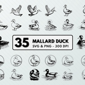 Mallard Duck Svg Png Bundle, Mallard Duck Clipart, Mallard Duck Silhouette, Mallard Duck Vector, Mallard Duck Cut File, Cricut, Duck Outline