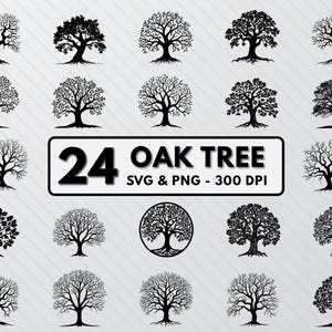 May include: A set of 24 black and white oak tree silhouette illustrations. The illustrations are in a variety of styles, including simple outlines and more detailed designs. The text "24 OAK TREE SVG & PNG - 300 DPI" is at the bottom of the image.
