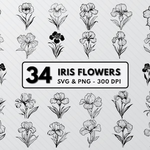 May include: A set of 34 black and white line art illustrations of iris flowers. The illustrations are in a variety of styles and poses. The text "34 IRIS FLOWERS SVG & PNG - 300 DPI" is at the bottom of the image.