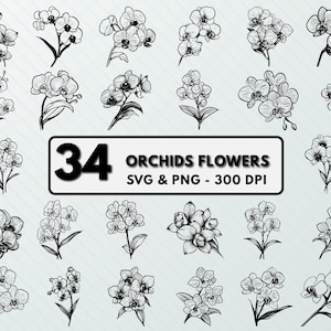 Orchid Flower SVG PNG Clipart: Floral Designs, Cut Files