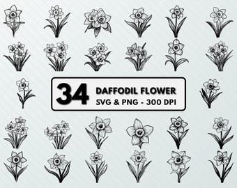 Daffodil Flower SVG: March Birth Flower Clipart (PNG, Vector)