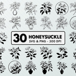 Honeysuckle Flower SVG PNG Bundle: Floral Cut Files