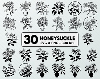 Honeysuckle Svg Png Bundle, Honeysuckle Silhouette, Honeysuckle Clipart, Honeysuckle Vector, Honeysuckle Outline, Flowers Cut File Circuit