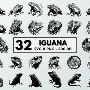 Iguana SVG PNG Clipart: Lizard Art, Decal, Silhouette (Digital Download)