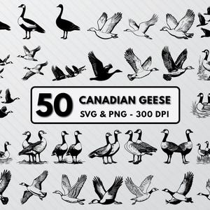 Goose Outline Etsy Australia