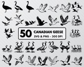 Canadian Geese Silhouette: Funny Ducks Clipart, Swans Vector (SVG & PNG)