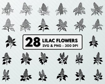 Lilac Flower Silhouette: Vector Art, Clipart (SVG & PNG)