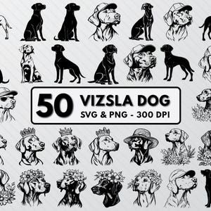 Vizsla Silhouette Svg, Bundle Svg chien Vizsla, des cliparts chiens, art vectoriel Png Vizsla, Vizsla chiens chiots chiot sticker, Vizsla coupe fichiers Cricut