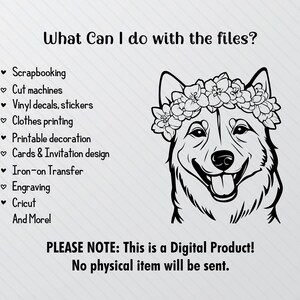 Korean Jindo Dogs Silhouette, Korean Jindo Dog Svg Bundle, Dogs Clipart