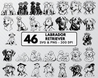 Labrador Retriever Silhouette: Dog SVG Bundle, Puppy Vector Art (PNG)