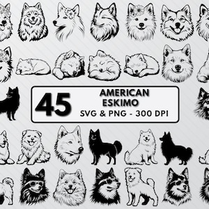 American Eskimo Silhouette, American Eskimo Svg Bundle, Dog Designs Png Set Clipart, American Eskimo Decal Outline, Dogs Breed Vector Cricut