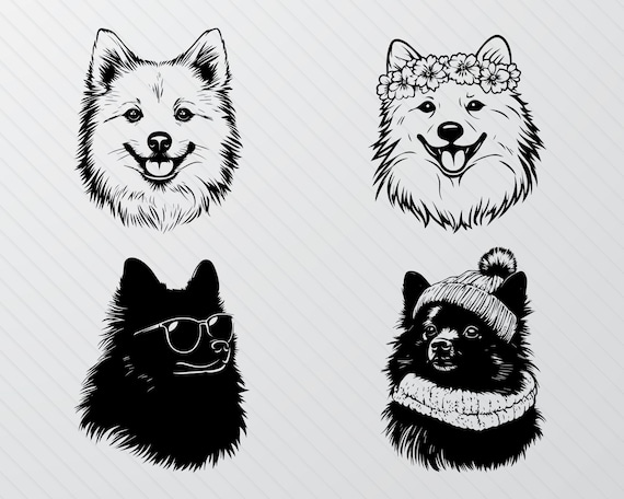 Lot de chiens Spitz allemands SVG : clipart silhouette