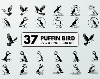Puffin Bird Clipart: Silhouette Vector Decal Designs (SVG, PNG)