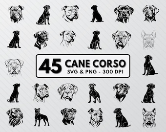 Cane Corso Dog Silhouette Bundle: Vector Clipart (SVG, PNG)