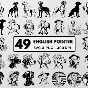 English Pointer Silhouette: Dog Breed Vector SVG PNG Bundle