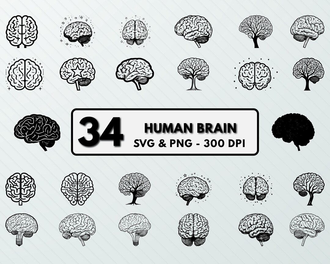 Human Brain Svg Png, Human Brain Clipart, Human Brain Silhouette, Human ...