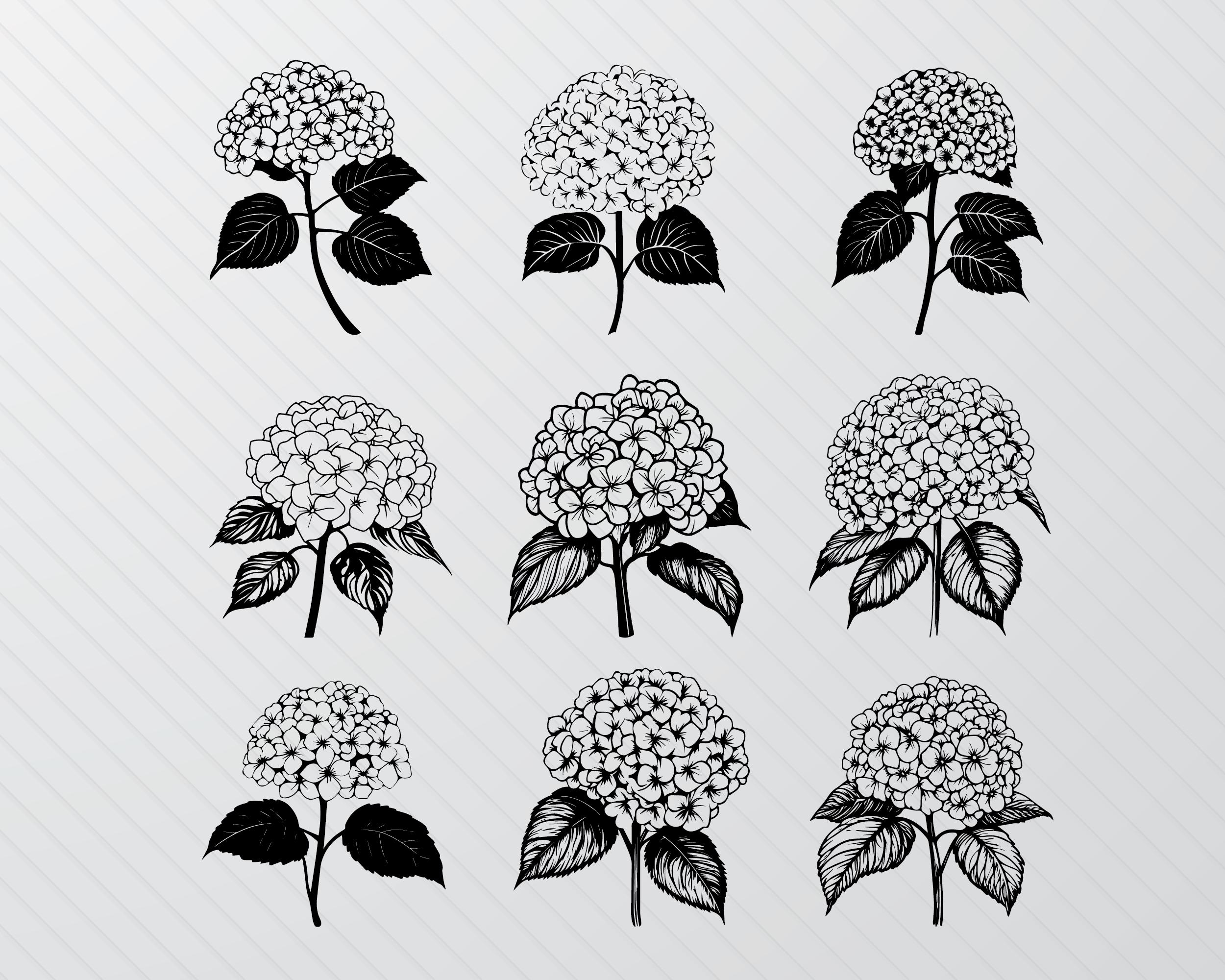 Hydrangea Flower SVG Bundle: Silhouette Clipart (PNG, Vector) - Etsy