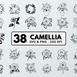 Camellia Flower SVG PNG Bundle: Floral Clipart, Silhouette, Vector Cut File