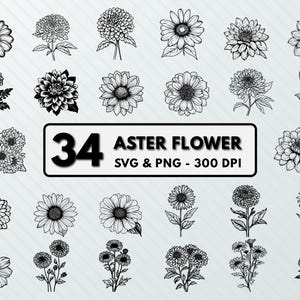 Aster Flower SVG: September Birth Flower Clipart (PNG, Vector)