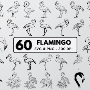 Flamingo SVG Bundle: Bird Silhouette Cut Files (PNG, Vector)