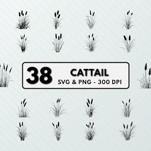 Cattail Clipart: Silhouette Vector Cut File (SVG, PNG)