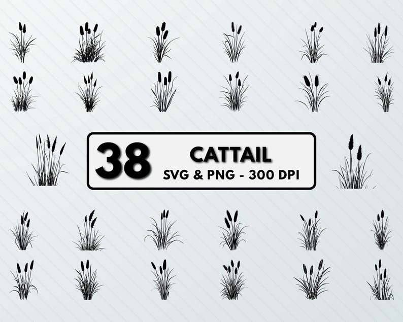 Cattail Clipart: Silhouette Vector Cut File (SVG, PNG) - Etsy