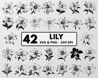 Lily Flower SVG Bundle: 36 Vintage Engravings (digital Download