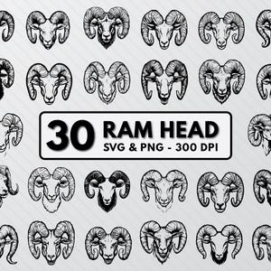 Op de afbeelding: Een set van 30 zwart-wit illustraties van rammenkoppen. De illustraties zijn in verschillende poses en stijlen. De tekst "30 RAM HEAD SVG & PNG - 300 DPI" staat onderaan de afbeelding.