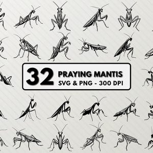 Praying Mantis Svg Bundle, Praying Mantis Silhouette, Mantis Svg Vector Icon, Insects Line Art Clipart Png, Praying Mantis Outline Cut Files