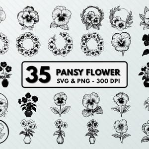 Stiefmütterchen Blume Svg Png-Bundle, Stiefmütterchen Blume Clipart, Stiefmütterchen Blume Silhouette, Stiefmütterchen Blume Vektor, Stiefmütterchen Blume Schnittdateien, Cricut, Umriss-Set