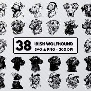 Könnte beinhalten: Ein Set mit 38 Schwarzweiß-Illustrationen von Irish Wolfhounds in verschiedenen Posen und mit unterschiedlichen Accessoires. Die Illustrationen sind im Vektorformat und haben eine Auflösung von 300 DPI.
