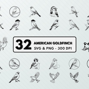 American Goldfinch Svg Png, American Goldfinch Clipart, American Goldfinch Silhouette, Vector, Decal, Cut file, Cricut, Outline, Design Sets