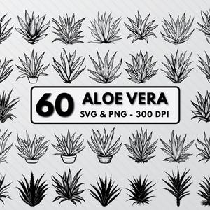 Aloe Vera Silhouette Vector, Aloe Vera Svg Bundle, Aloe Vera Clipart Png Outline, Aloe Vera Decal, Aloe Vera Silhouette Cut Files For Cricut